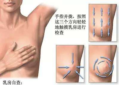 乳房自检摸出好大一个硬块 可能只是你的检查手法不当 知乎