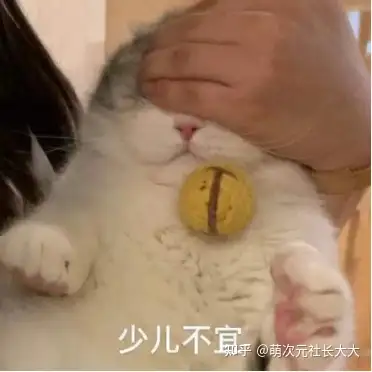 飞机杯润滑油哪个品牌好你需要一款飞机杯专用的润滑剂:KUKI红瓶润滑油