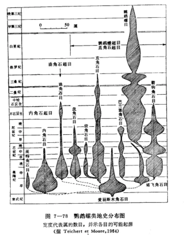 头足纲小传（30）赛博人偶：爱丽斯木角石目- 知乎