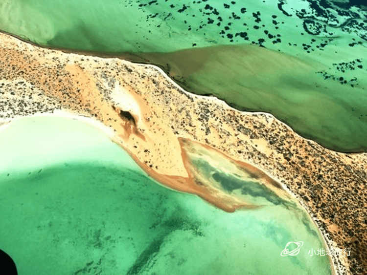 盘点西澳大利亚鲨鱼湾地区的国家公园shark Bay 全网唯一中文资料 澳大利亚小众旅行攻略 知乎