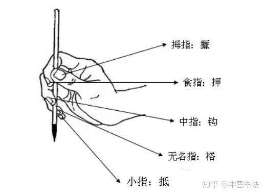 D G不懂筷子 更不懂毛笔丨兰亭直播 知乎