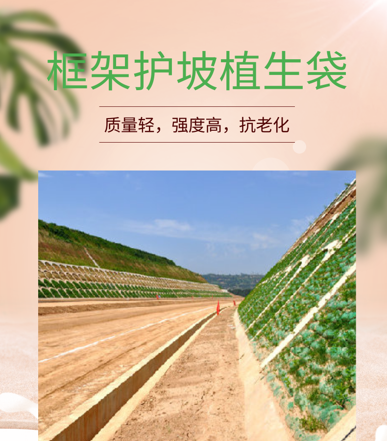 毕节植生袋厂家 知乎