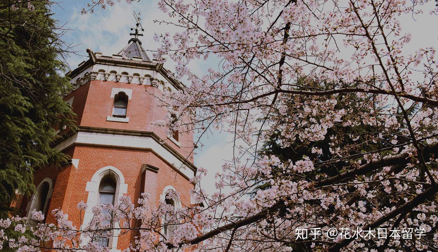 法学部 日本 大学