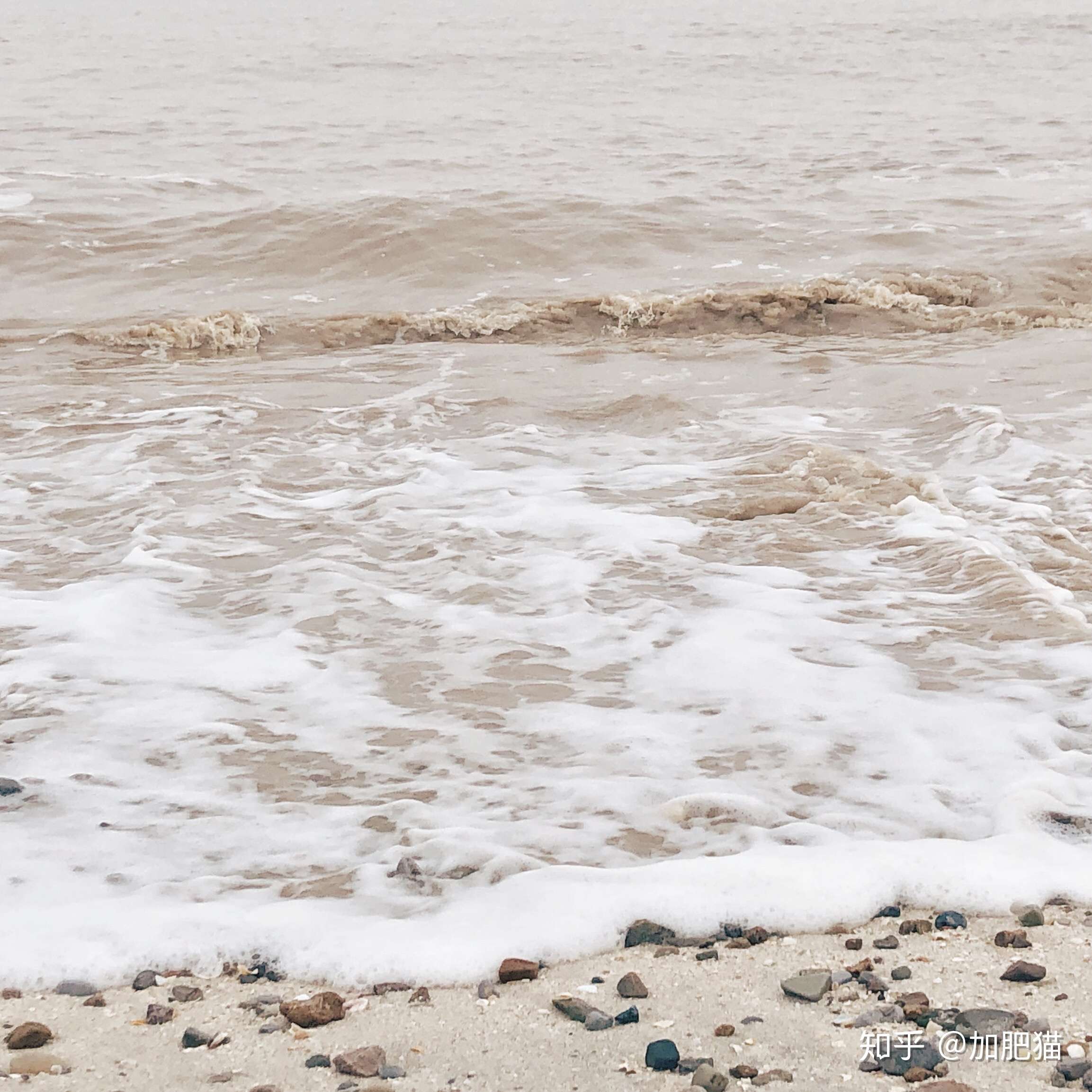 黄海和黄黄的海水