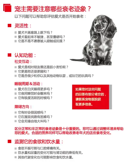 如何在日常生活中全面呵护狗狗的健康 知乎