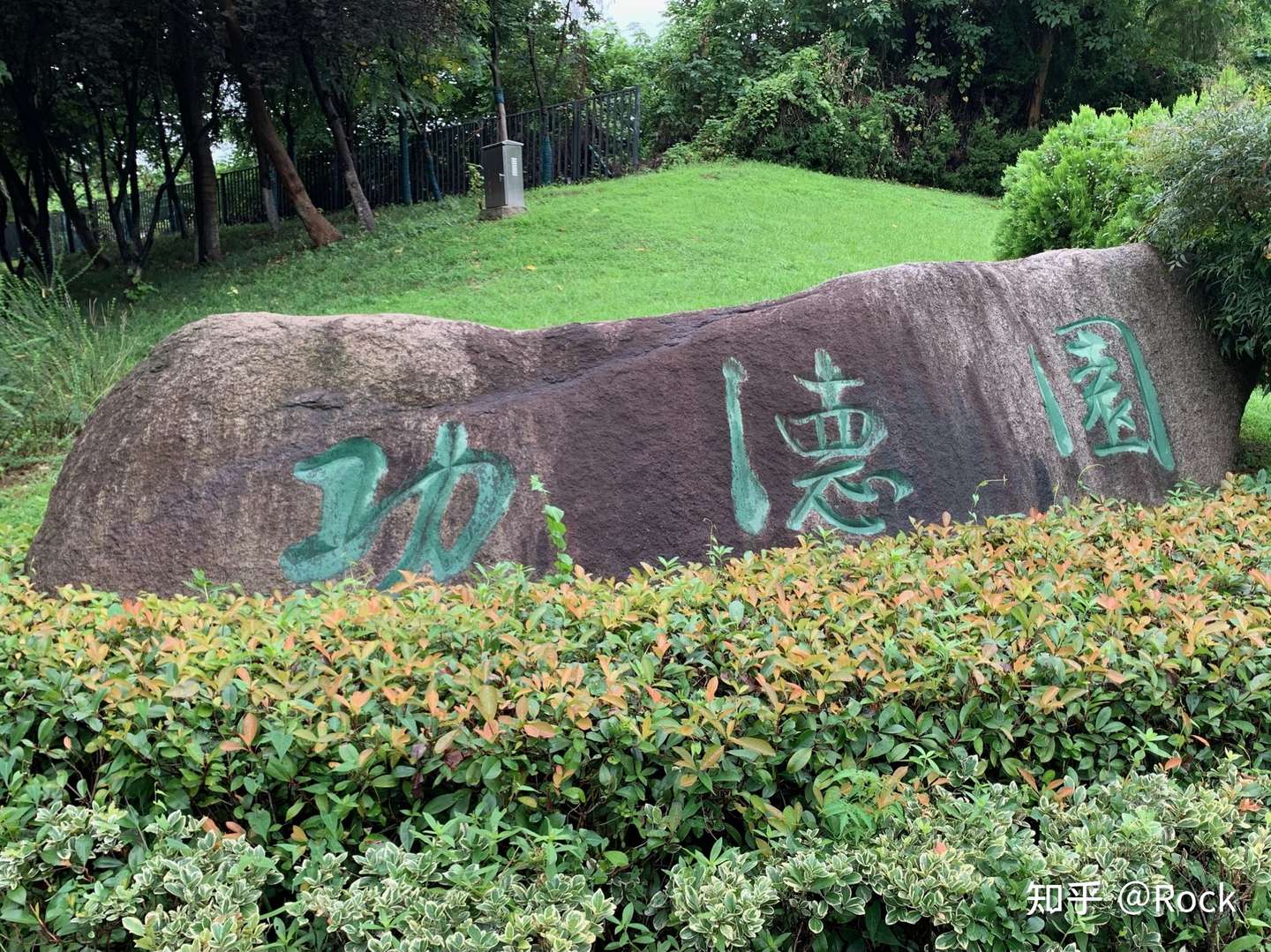 雨中的雨花台 父亲的纪念碑 知乎