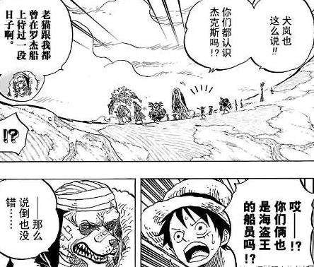 已有很多种族加入草帽海贼团 毛皮族加洛特也将上船 知乎