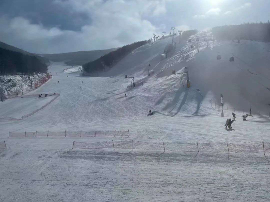 热雪现场 崇礼滑雪 能来吗 怎么回家 几日核酸 知乎 热雪现场 崇礼滑雪 能来吗 怎么回家 几日核酸 知乎