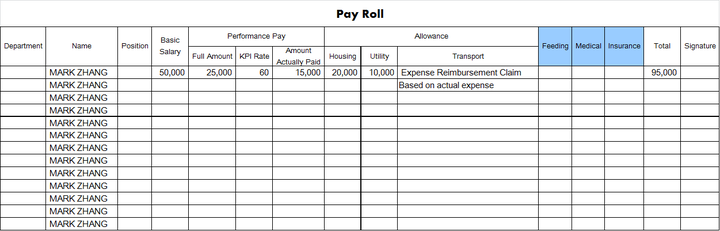国外员工工资表payroll