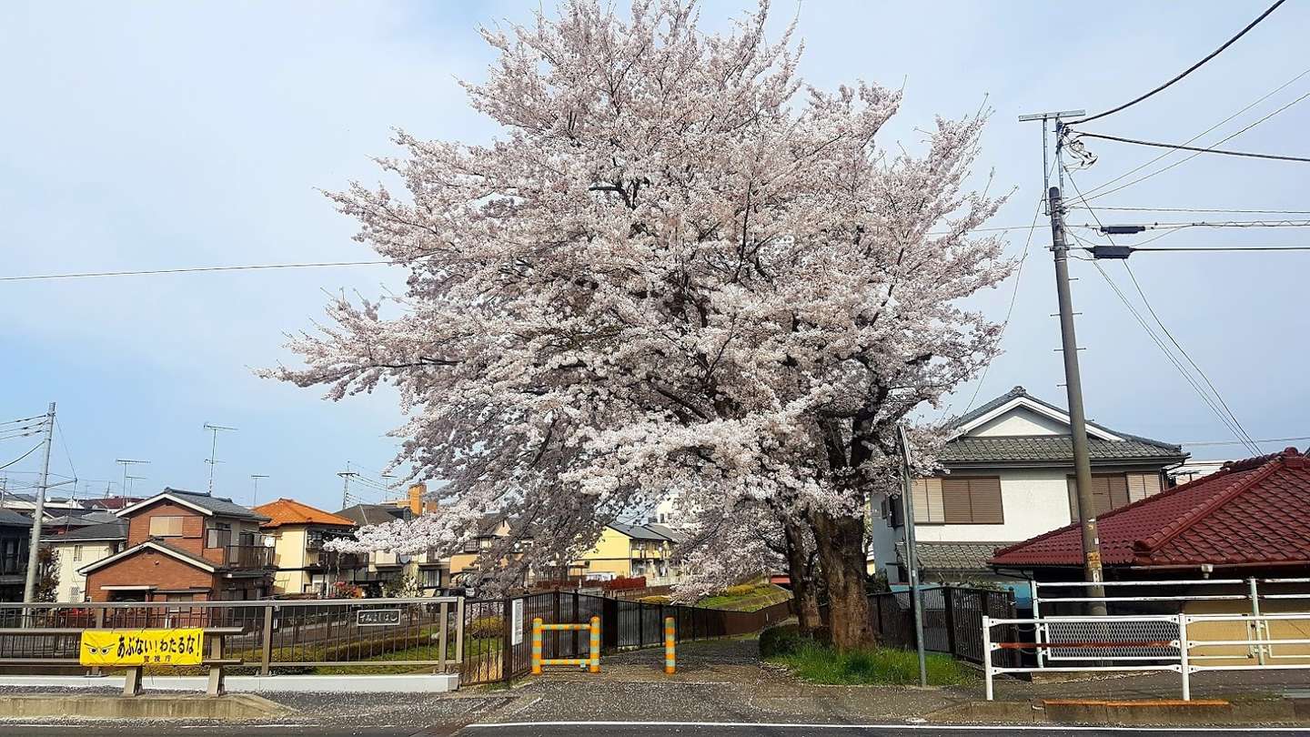 游戏宅眼中日本的好与坏 上 知乎