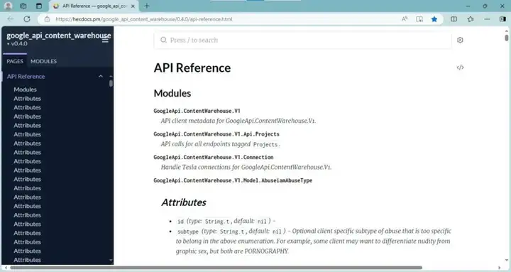 截图：谷歌意外流出的 API 文档