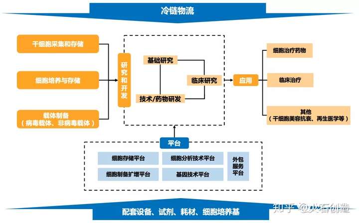 基因治疗流程图图片