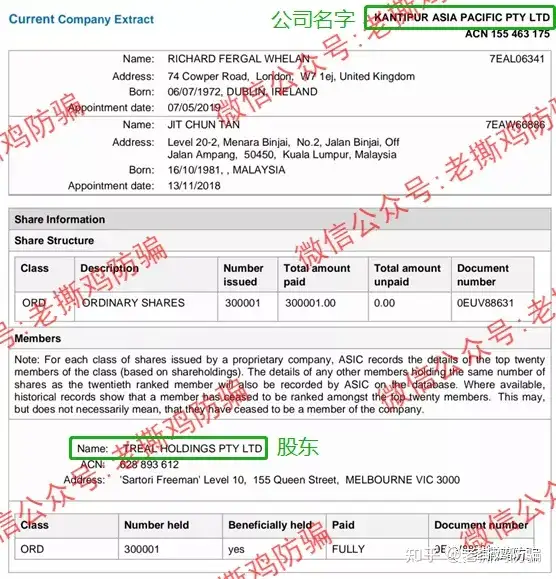 生まれのブランドで Tomimaru フォロー割適用価格 置物 - conewago.com