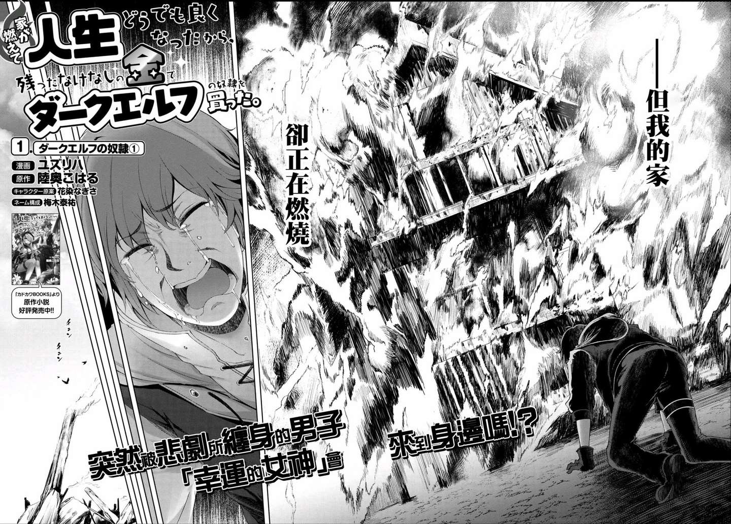 因为家被烧了而自暴自弃的我 用仅剩的钱买了一个黑暗精灵奴隶 这标题比故事要精彩 知乎