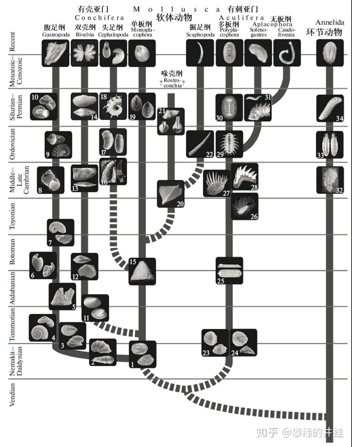 地球演义 嘎啦簸箕翻身记 知乎