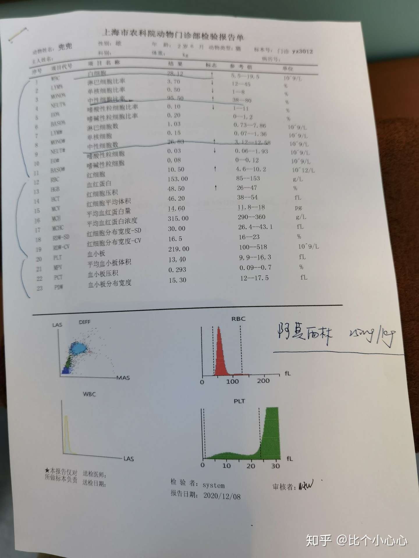 猫猫康复日记 知乎 猫猫康复日记 知乎