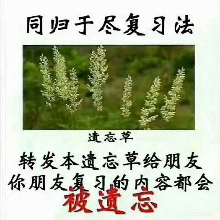 你都存了哪些沙雕表情包?