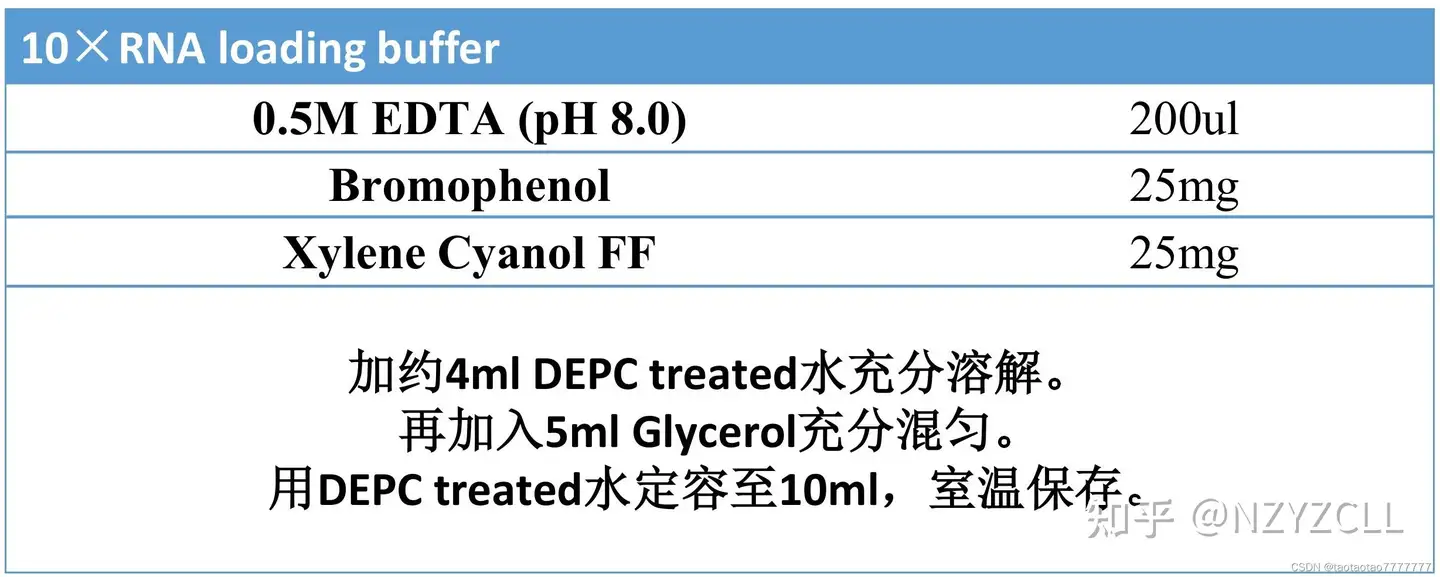 格安人気 RNA☆未使用 ずっと気になって - brasilinotransportes.com.br