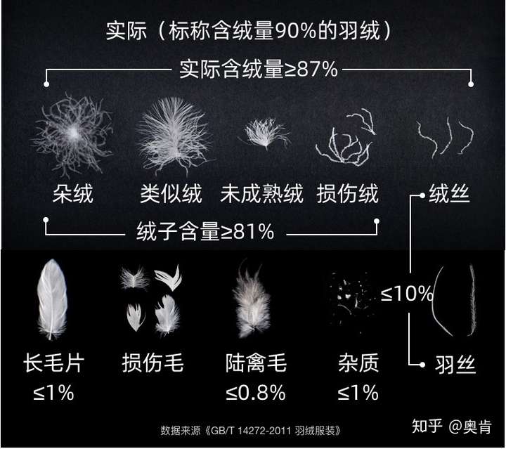 羽绒蓬松度对比图片