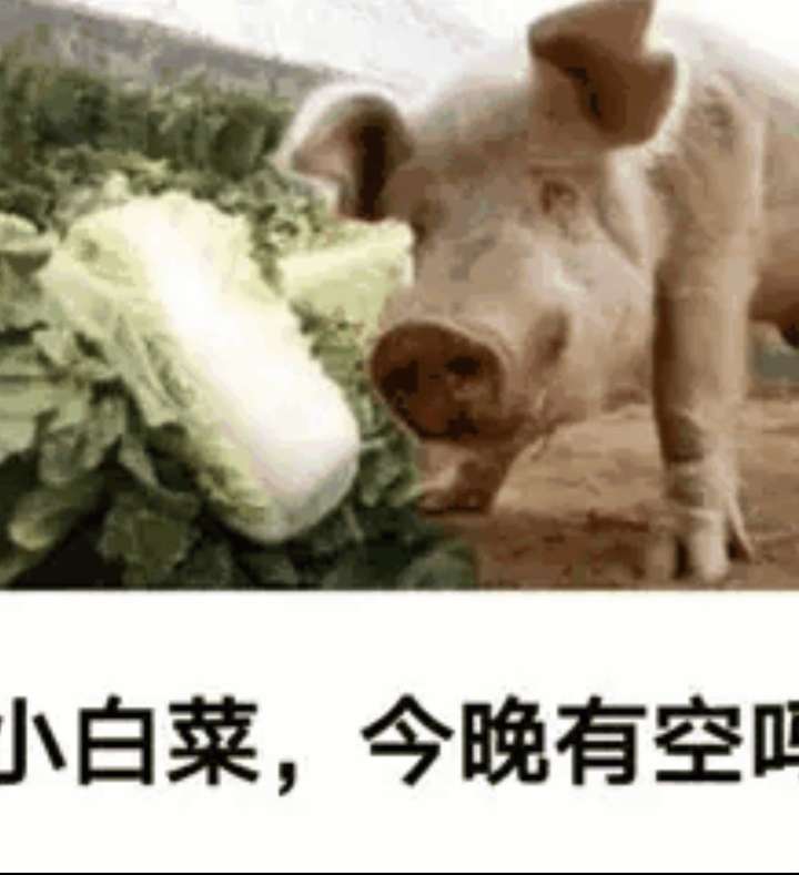 有没有很骚的文案? 有点污污的文案:我曾摸过高山插图33 有没有很骚的文案? 有点污污的文案:我曾摸过高山插图33
