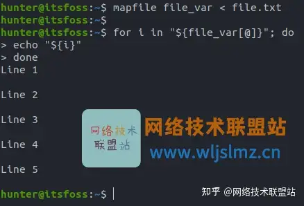 嘘 这些bash命令鲜为人知 但是非常有用 知乎