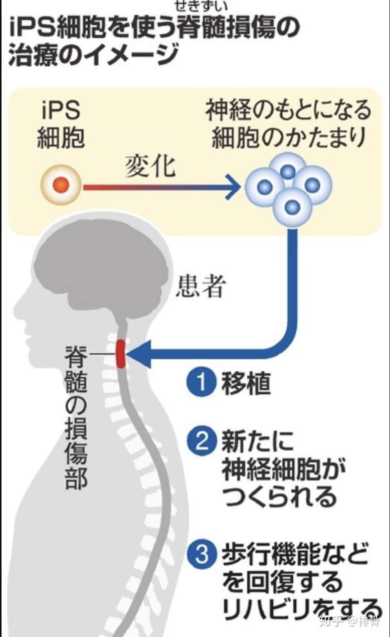 12月3日 日本一周新闻回顾 针对韩国要进行对抗措施 知乎