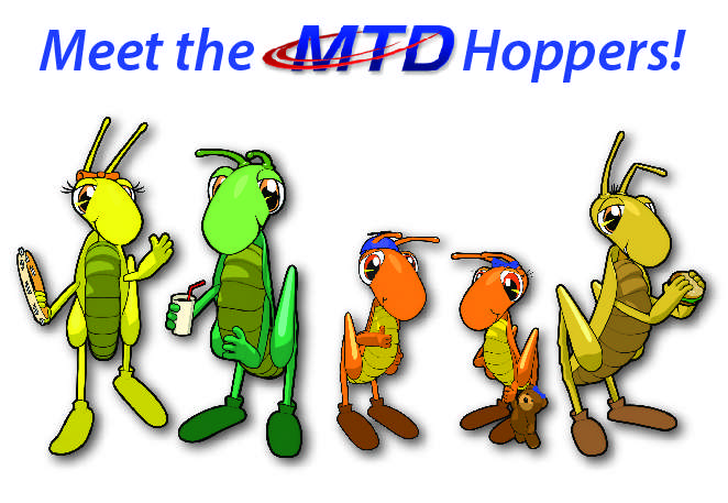 有哪些出国后才发现的以前对英语世界的错误理解