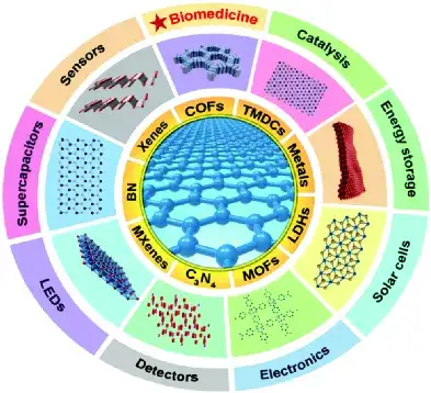 上海大学陈雨综述二维生物材料:材料科学,生物效应与生物医学工程应用