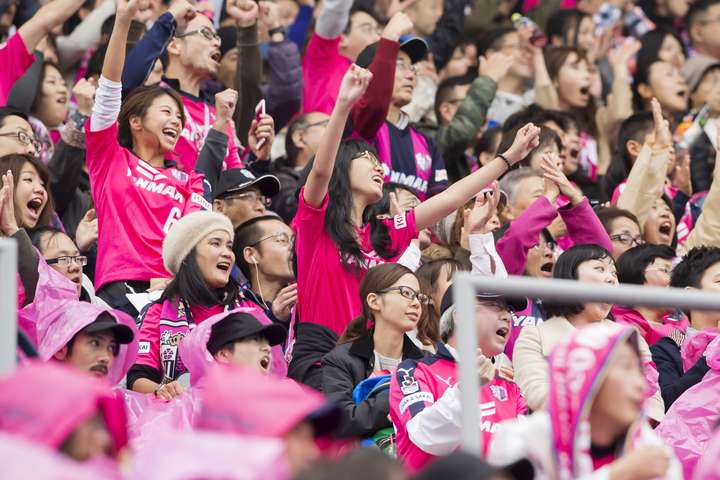 球场女球迷多很正常(尤其是大阪樱花),老人和小孩也很多,很多都是一家