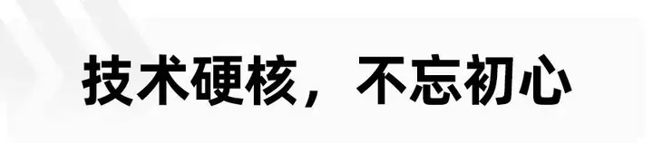 着眼全球和未来，欧拉不只有“她”