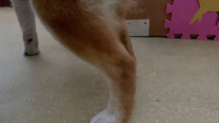 v2-42a9fc733bd08c360e11d7a41a8d2b16_bh.jpg?source=1940ef5c