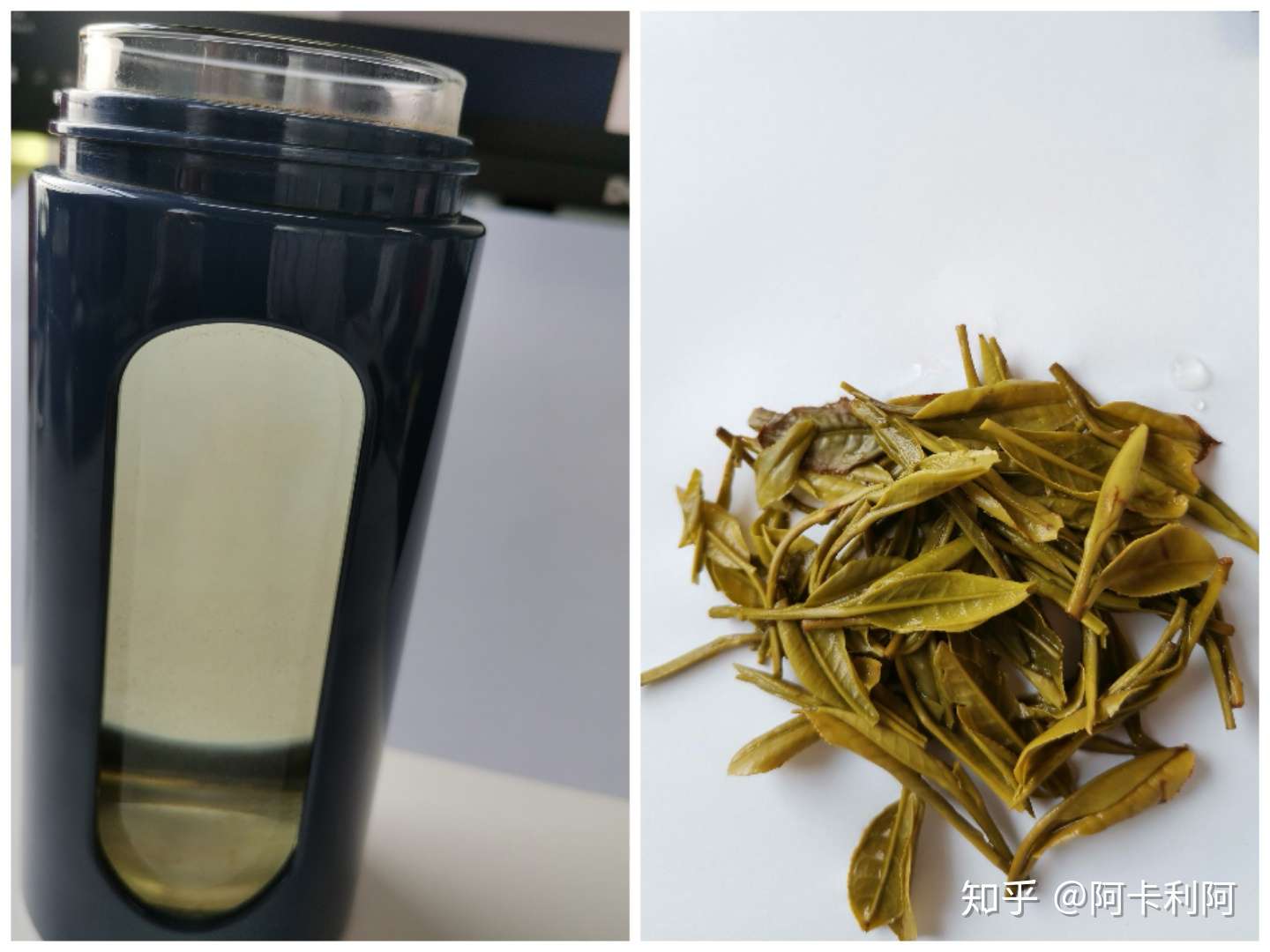 绿茶之黄山毛峰 谢裕大 知乎