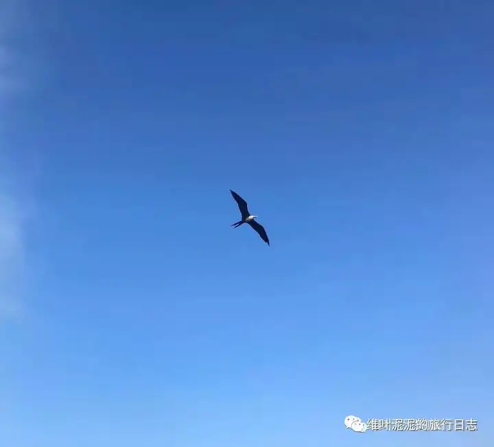 阳光沙滩海浪仙人掌 - 墨西哥邮轮（三）马萨特兰 - 墨华网 (图6)
