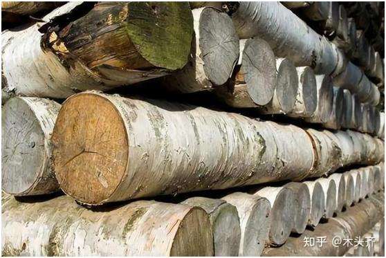 这种木料比钢铁还要坚硬 你见过吗 知乎