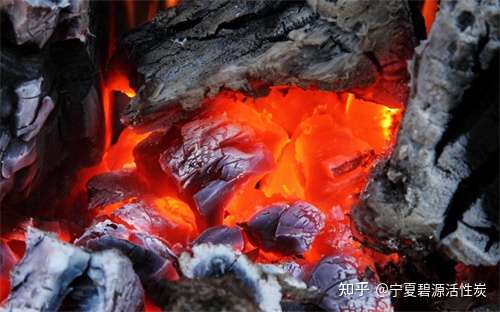 活性炭和木炭有什么区别 知乎