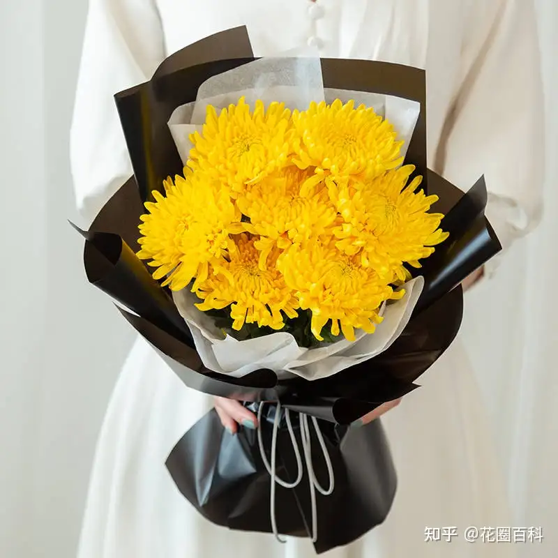 参加追悼会拿什么花 各个花代表什么意义 知乎