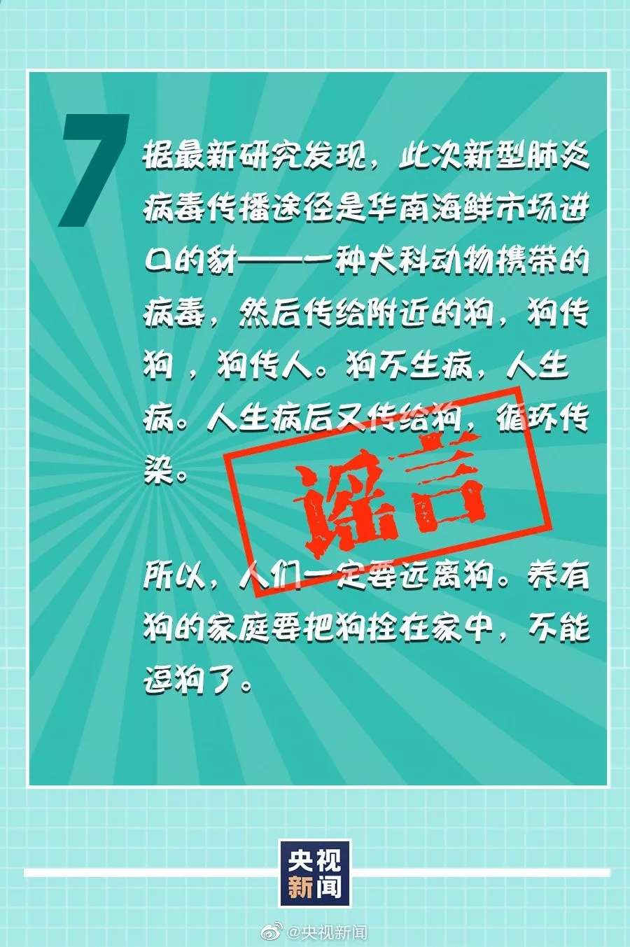 确定了 猫狗不携带新冠病毒 请停止遗弃 捕杀 知乎