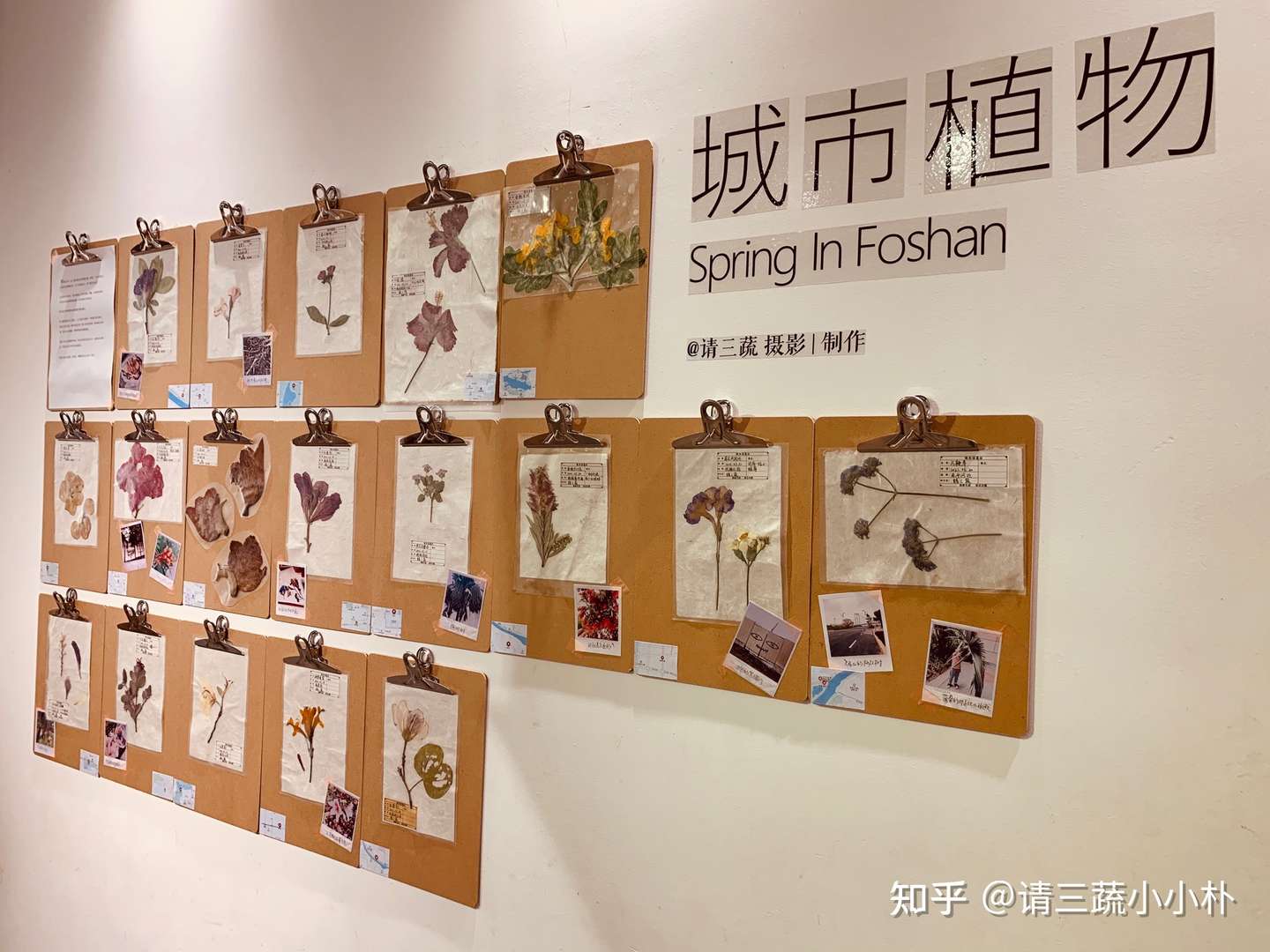 请三蔬开店日记51 这次 我们在店里弄了个小展 知乎