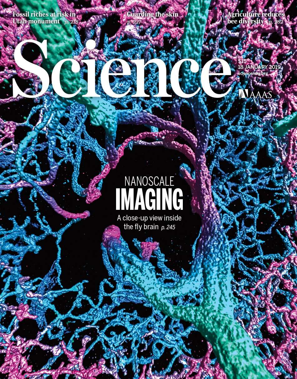 新智元 的想法: 最新出版的 science 杂志封面,报道了 mi… - 知乎
