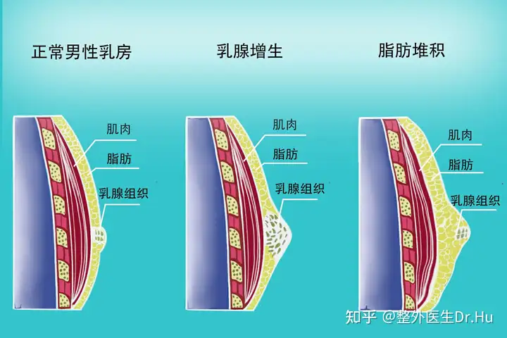 乃撒乳丧脚佳轮呈啡祈醉该？(图2)