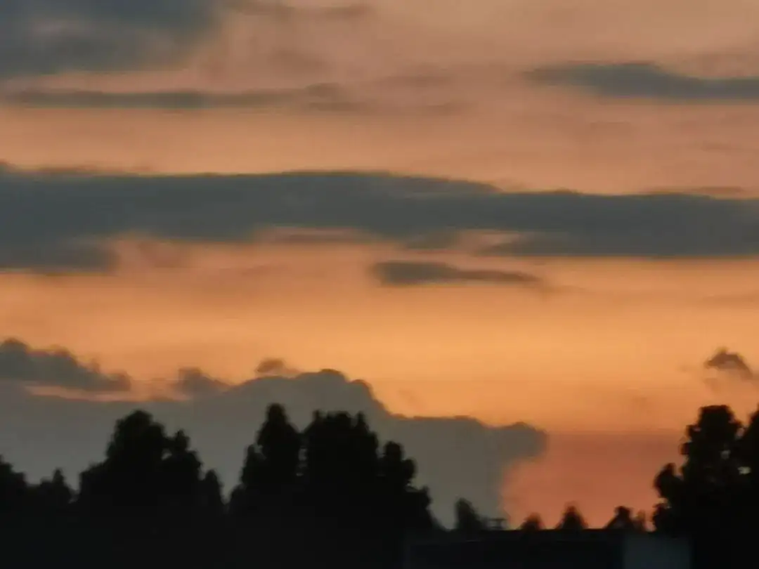 文案 我偷了黄昏的酒 知乎