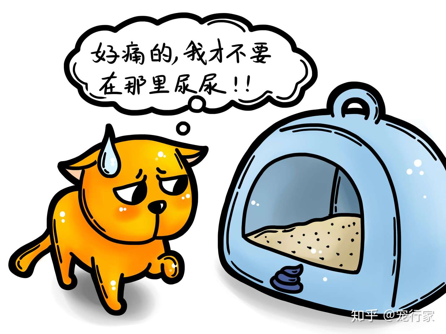 喂食猫粮的猫患上膀胱炎的几率更大！水分是抵御膀胱炎最好的武器- 知乎