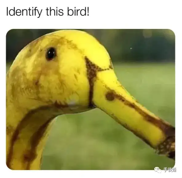 这款获奖和提名能超过一页的作品，终于移植为手游了！-游戏攻略礼包下载 安卓苹果手游排行榜 好游戏尽在春天手游网