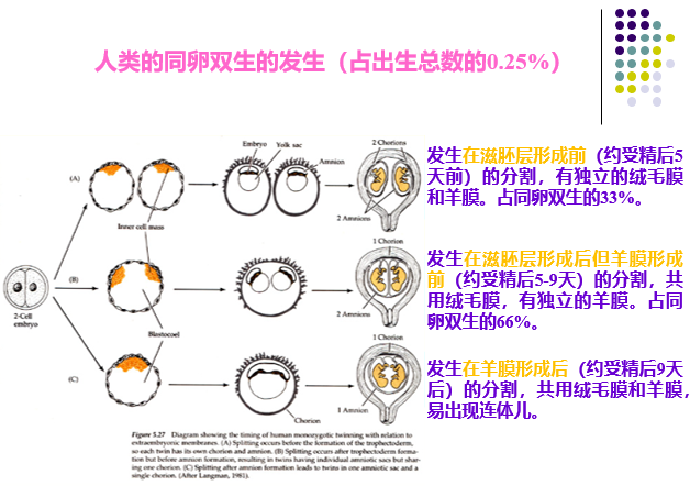 发育生物学期末复习 知乎