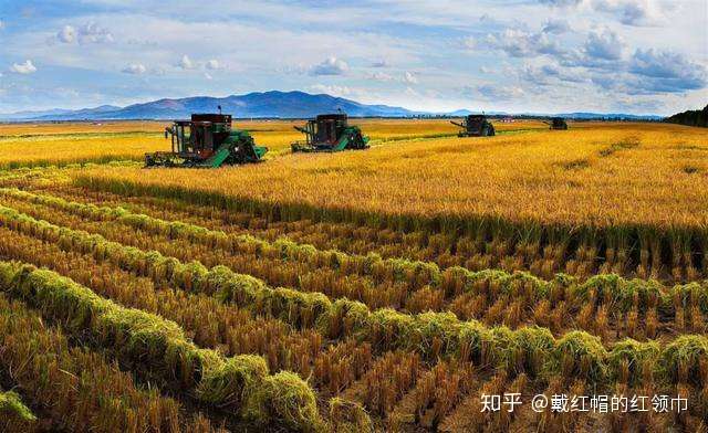 多国限制粮食出口 世界范围性的粮食紧缺会成为常态吗 知乎