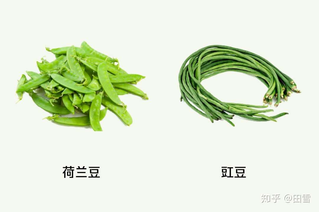 家中常见的 毒食物 除了豆角还有什么 知乎 家中常见的 毒食物 除了豆角还有什么 知乎