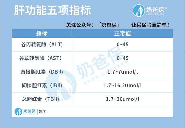 乙肝的體檢指標: 肝臟也被稱為