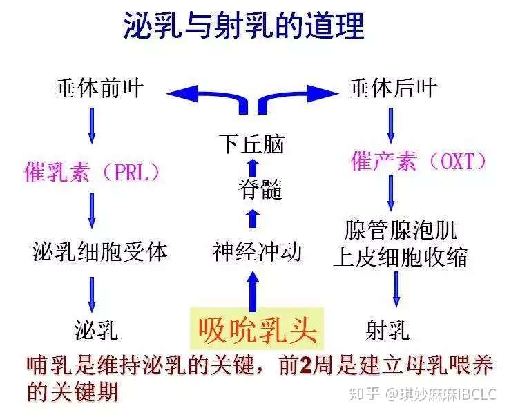 宝宝一吃奶就痛 或许是乳汁淤积惹的祸 知乎