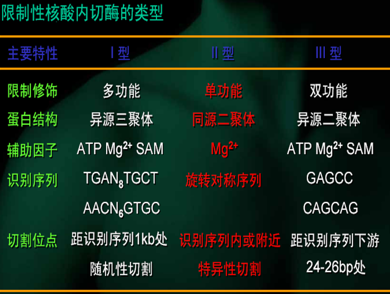 基因工程复习笔记 知乎