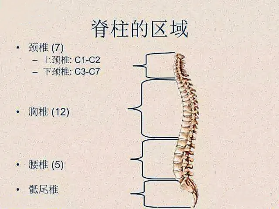 戴头盔易导致脊柱骨折 知乎